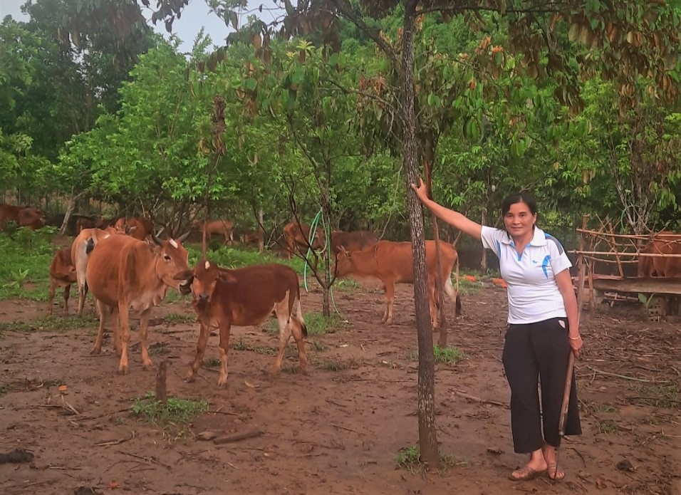 Mô hình làm kinh tế giỏi của NCT huyện Bá Thước, tỉnh Thanh Hóa