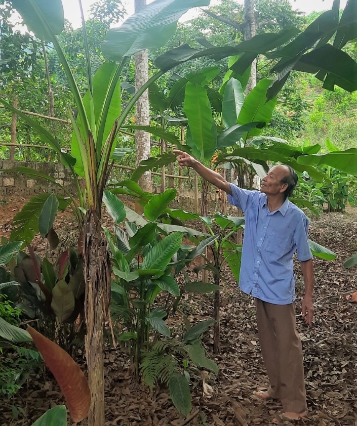 Khi cán bộ cao tuổi hưu làm kinh tế giỏi…