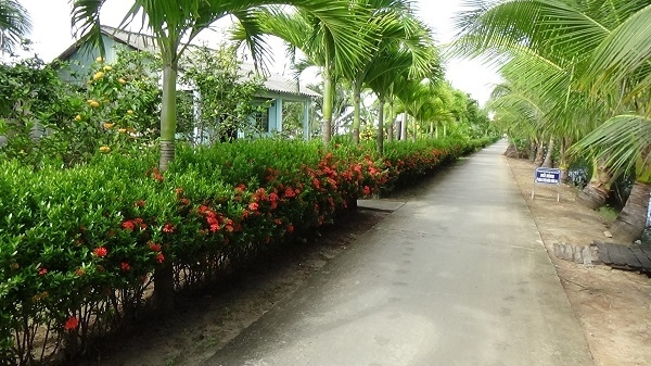 Những tuyến đường nông thôn sáng -  xanh - sạch - đẹp có sự đóng góp của NCT.