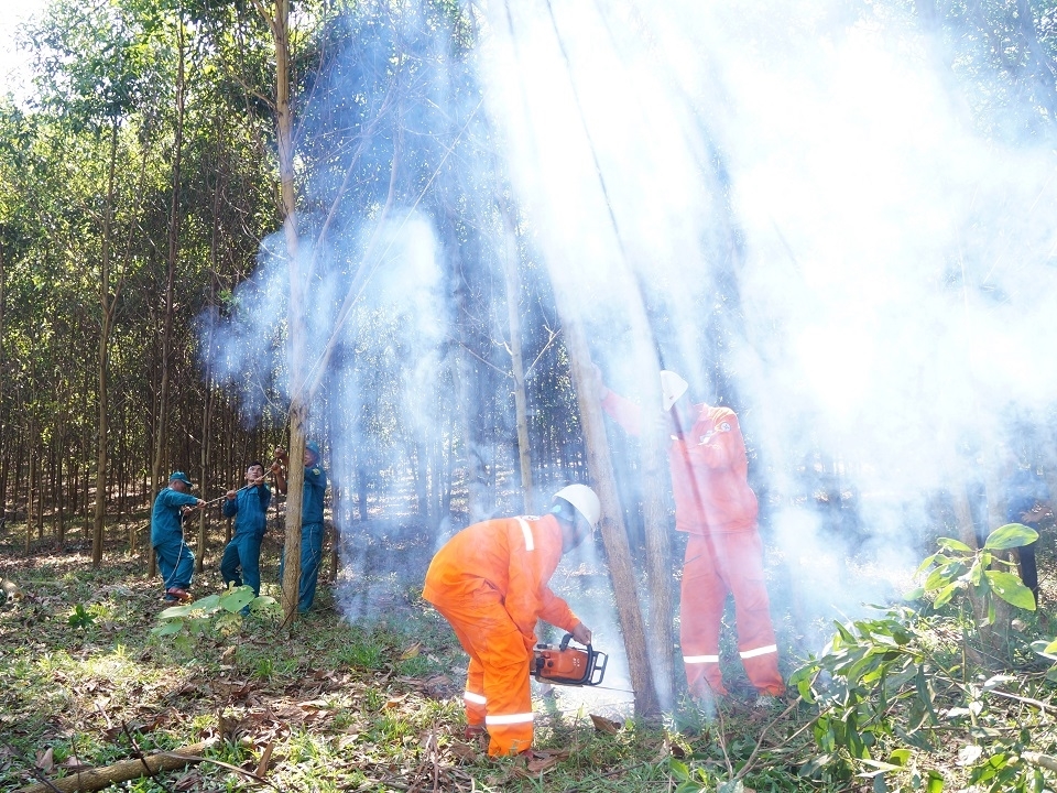 PC Thanh Hóa với giải pháp thực hiện nâng cao độ tin cậy cung cấp điện, giảm sự cố và tổn thất điện năng