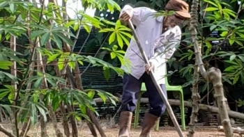 Bí quyết trường thọ của cụ ông 110 tuổi ở Lâm Đồng