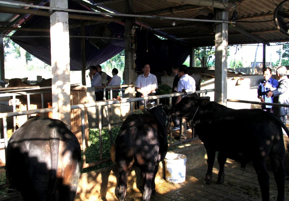 Mô hình NCT làm kinh tế giỏi thị xã Thái Hòa, tỉnh Nghệ An