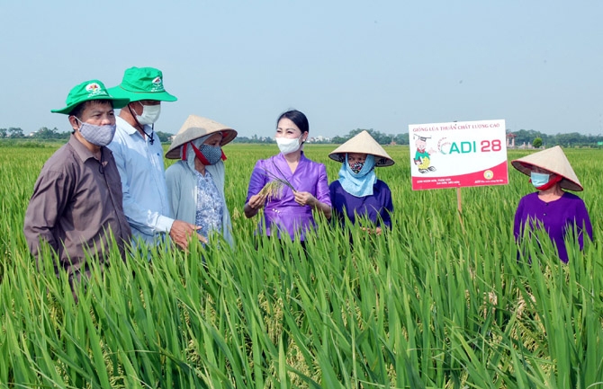 Nhiều điểm sáng trong bức tranh kinh tế - xã hội 6 tháng đầu năm 2023