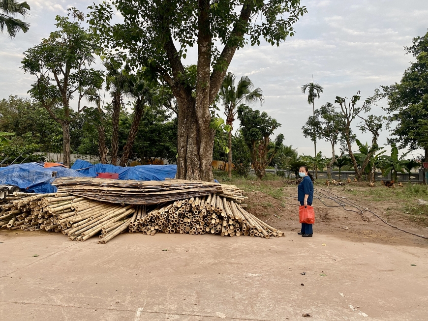 Bà Bùi Thị Minh chỉ khu đất bị cưỡng chế thu hồi.