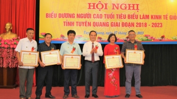 Các cấp, các ngành nâng cao nhận thức về trách nhiệm chăm sóc, phát huy vai trò NCT