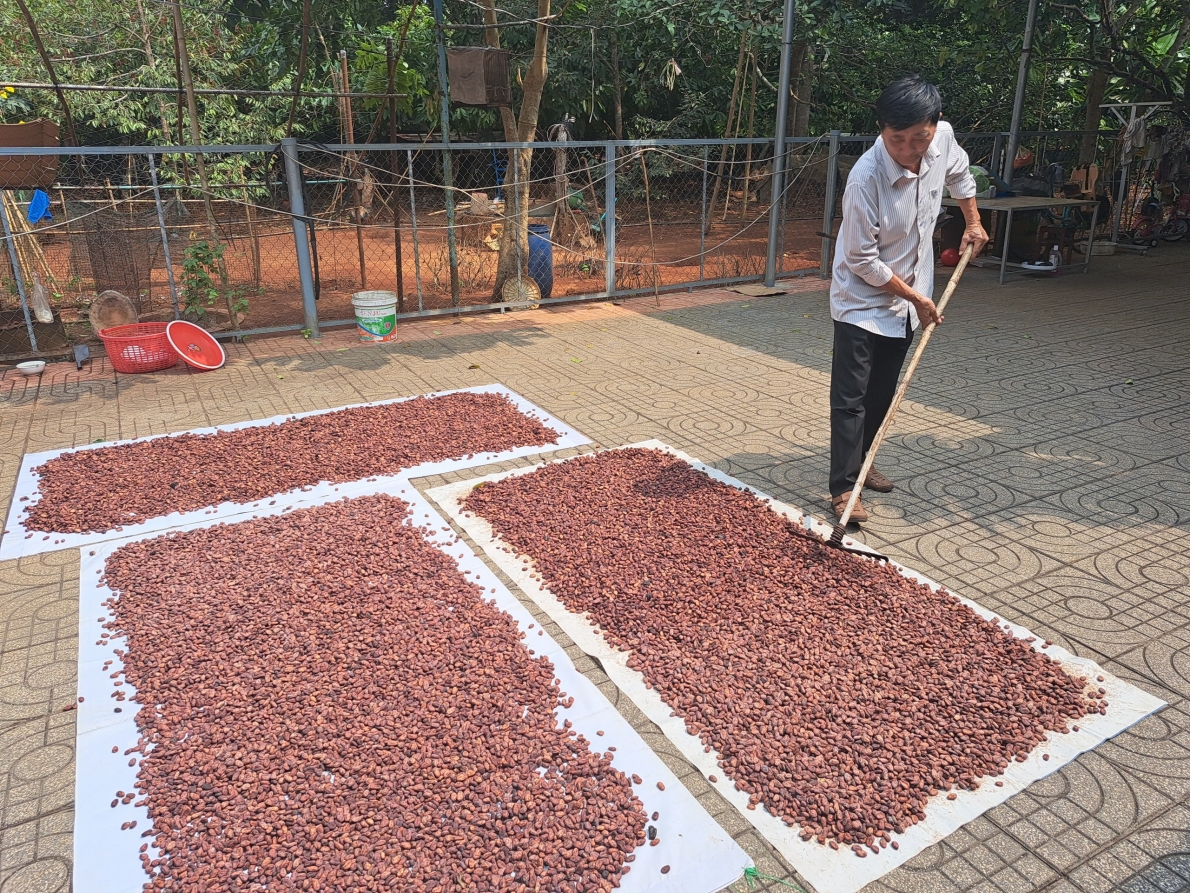 Tuổi cao chí càng cao trong phát triển kinh tế