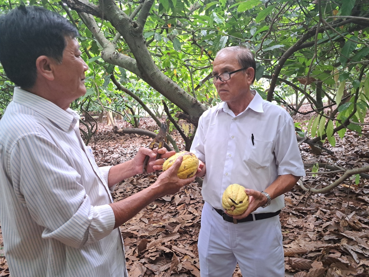 Tuổi cao chí càng cao trong phát triển kinh tế