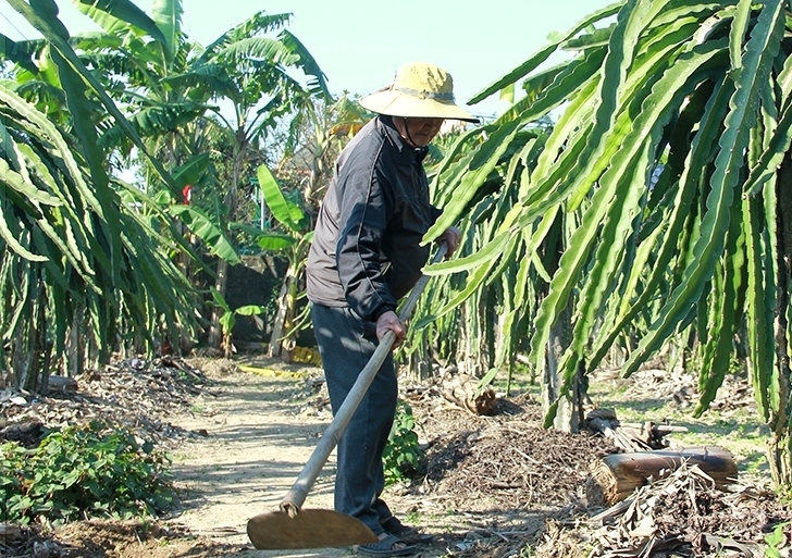 Mô hình làm kinh tế giỏi của NCT tỉnh Hà Tĩnh