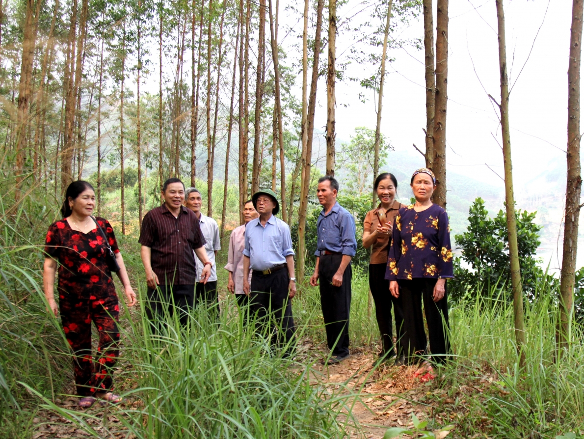 Thương binh Hoàng Văn Phong vượt khó làm giàu…