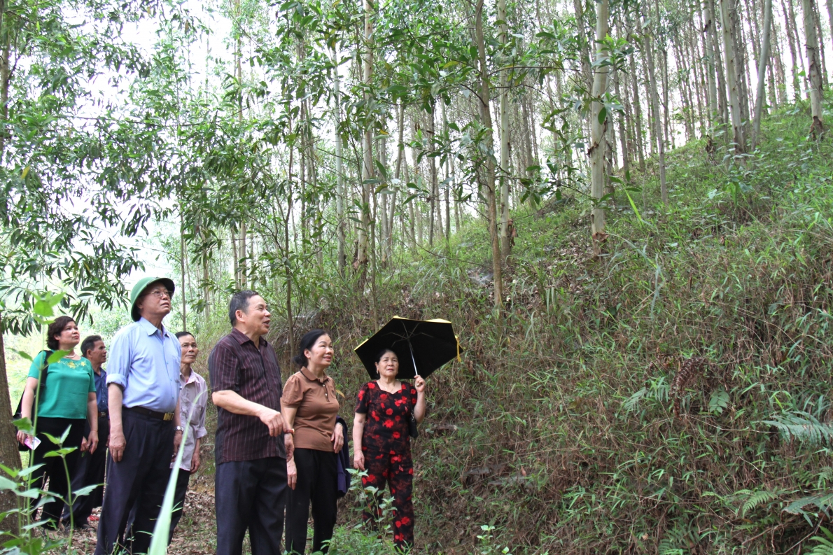Vợ chồng ông Hoàng Văn Phong dẫn khách thăm mô hình vườn rừng cho thu nhập cao