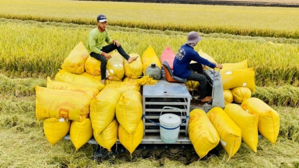 Khơi thông thị trường xuất khẩu là trọng tâm