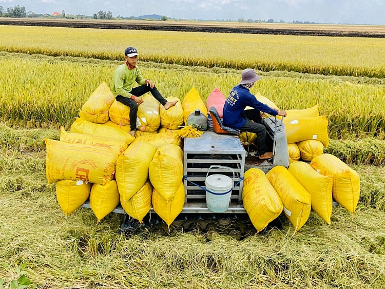 Khơi thông thị trường xuất khẩu là trọng tâm