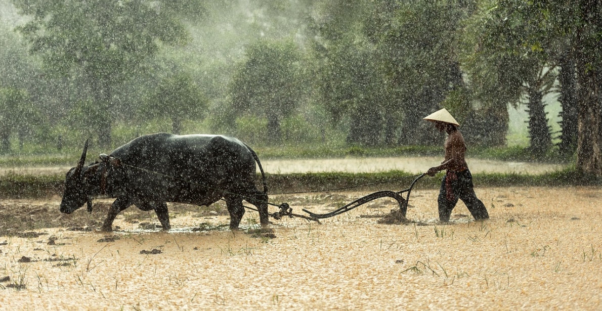 Tử vi 12 con giáp ngày 10/8/2023. Ảnh minh họa