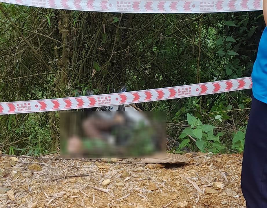 Phú Thọ: Điều tra vụ một người đàn ông tử vong cạnh xe máy bên vệ đường