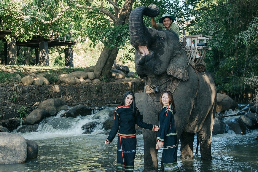 Nước mắt của voi