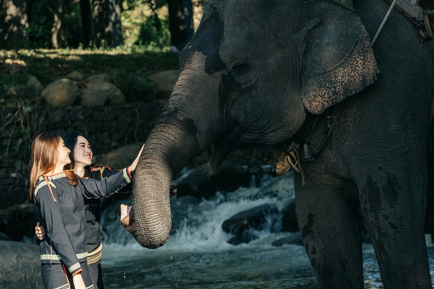 : Thông điệp “Tôi cười cùng voi, tôi ngưng cưỡi voi” được Trung tâm du lịch Cầu treo Buôn Đôn truyền thông mạnh mẽ để bảo vệ loài voi. 