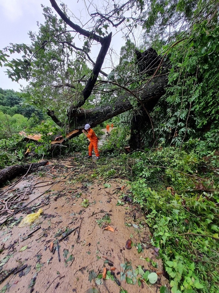 Điện lực các tỉnh phía Bắc khẩn trương khắc phục sự cố mưa lũ kéo dài