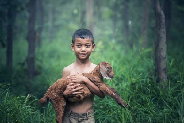 Tử vi 12 con giáp ngày 16/8/2023: Tuổi Mùi thịnh vượng