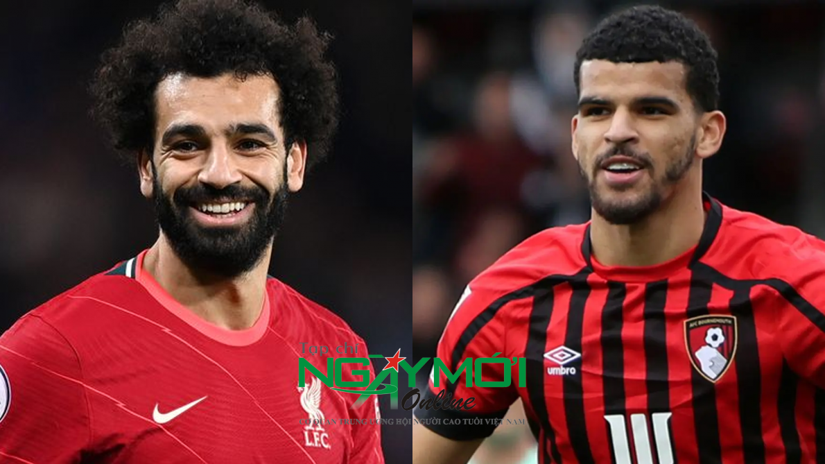 Lịch sử đối đầu, nhận định Liverpool vs Bournemouth, 21h00 ngày 19/8
