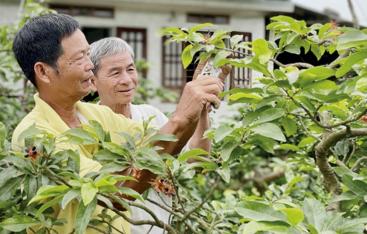 Ông Hoàng Chư chăm sóc cây cảnh