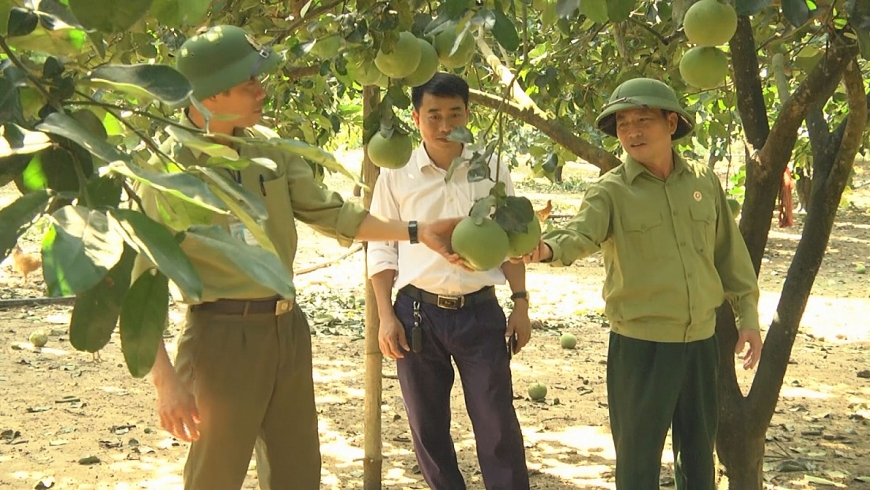 Phong trào NCT làm kinh tế giỏi huyện Thanh Chương giai đoạn 2018 - 2023