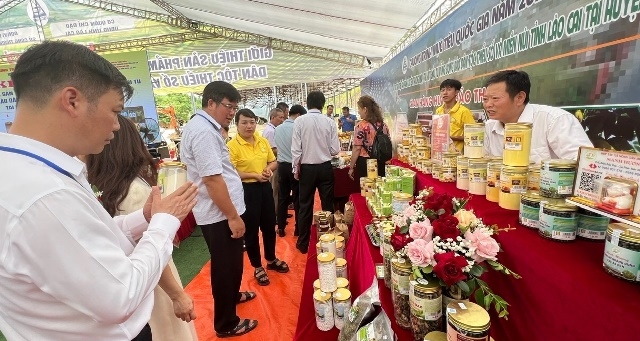 Tràn ngập không khí Tuần lễ văn hóa - du lịch huyện Bảo Yên