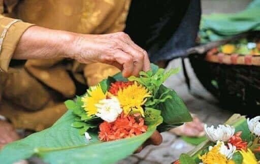 Nhớ thương hoa gói