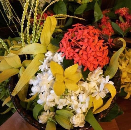 Nhớ thương hoa gói