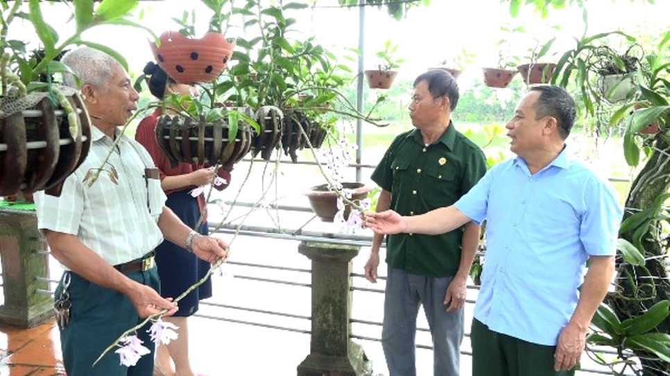 Mô hình NCT làm kinh tế giỏi của NCT huyện Tiên Du, tỉnh Bắc Ninh