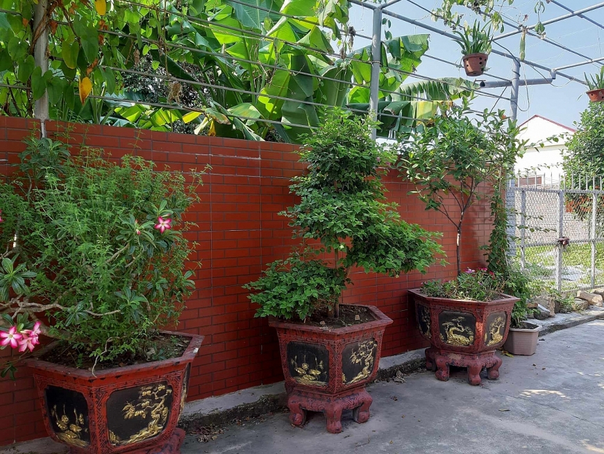 Ảnh:1. Bức tường bao gia đình bà Suốt xây dựng từ năm 2013, nhằm gìn giữ con ngõ riêng của gia đình