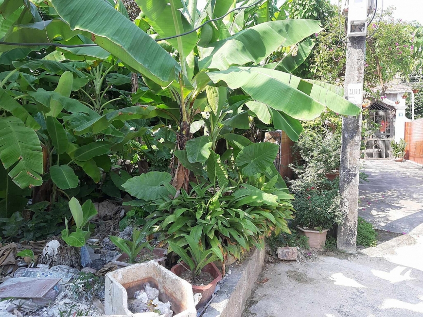 Thửa đất gia đình chị Nga nhận chuyển nhượng của Công ty Gia Long hoàn toàn có điều kiện lập ngõ đi riêng