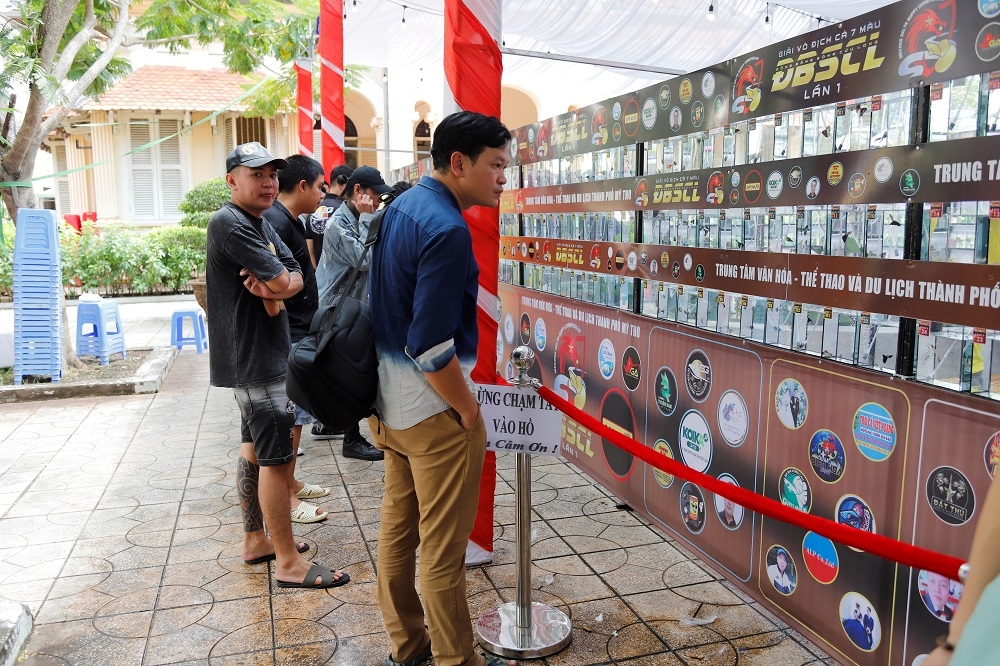 TP Mỹ Tho: Sôi nổi Giải vô địch cá 7 màu khu vực đồng bằng sông Cửu Long lần thứ I