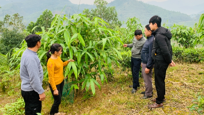 Ngày đi làm, tối bàn chuyện xóa nghèo ở bản người Mông