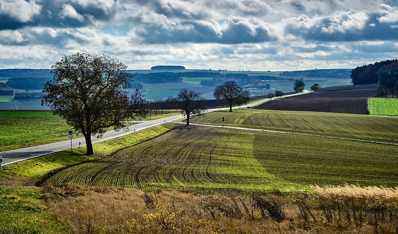 Tử vi 12 con giáp, tử vi ngày 19/9/2023. Ảnh minh hoạ