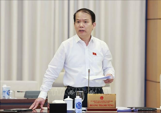 Chủ nhiệm Ủy ban Pháp luật của Quốc hội Hoàng Thanh Tùng phát biểu. Ảnh: Doãn Tấn/TTXVN