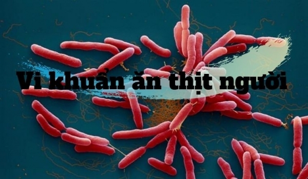 Cách phòng bệnh "vi khuẩn ăn thịt người"