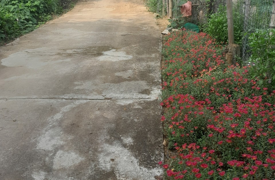 Phát huy vai trò NCT trong xây dựng nông thôn mới