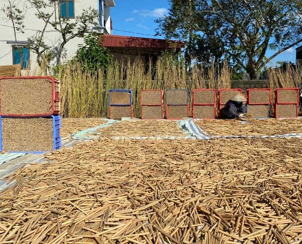 Hướng đi mới, cách làm mới để xây dựng nông thôn mới nâng cao