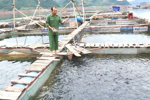 Từ nguồn vốn vay, NCT đầu tư mở rộng sản xuất, kinh doanh, từng bước tăng thu nhập