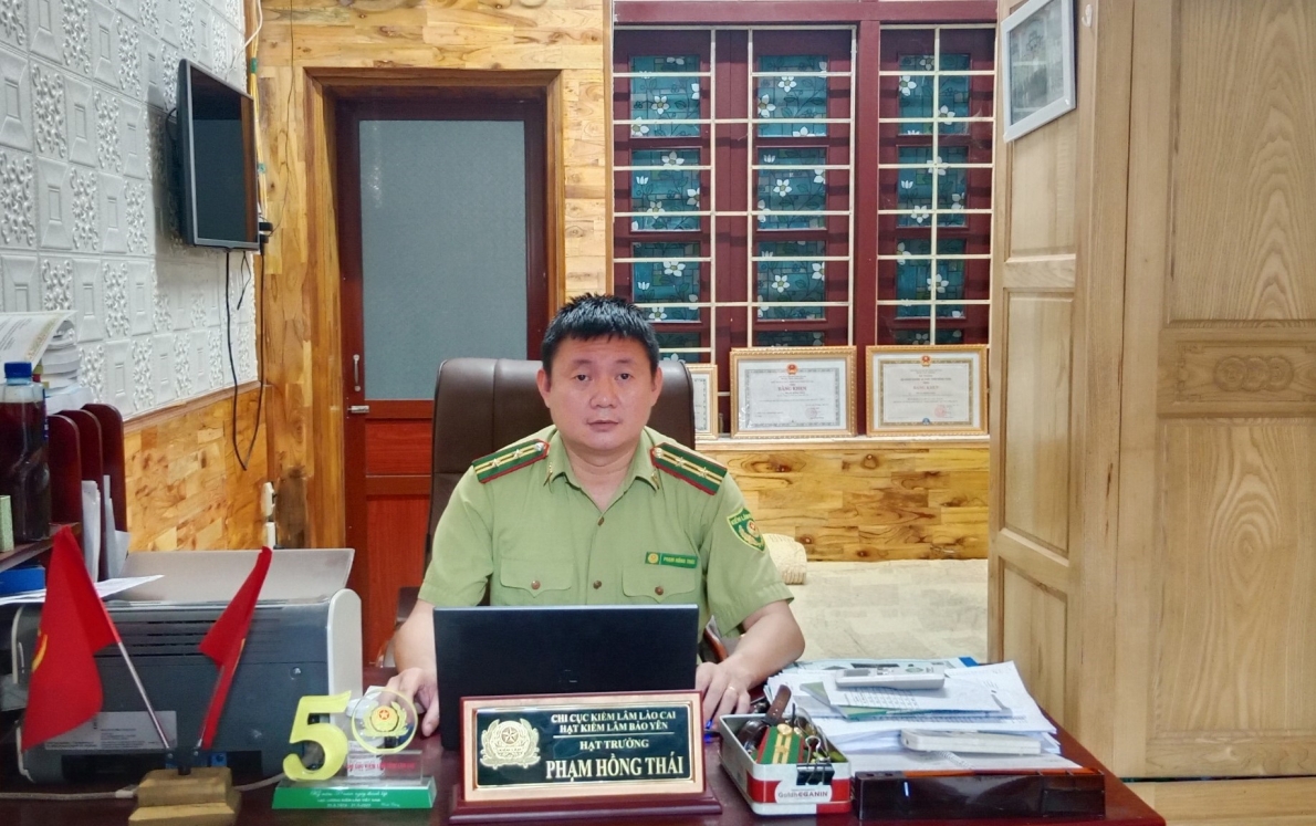 Giữ vững những cánh rừng xanh nơi vùng cao Bảo Yên