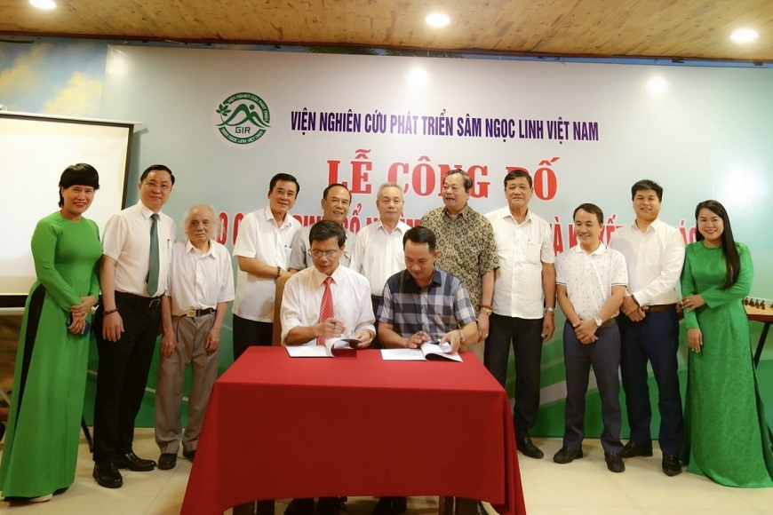 Lễ ký kết hợp tác giữa Viện Nghiên cứu phát triển Sâm Ngọc Linh Việt Nam và công ty CP đầu tư XNK VIKO Hùng Nguyên trong chiến lược sản xuất phân bón hữu cơ cho cây Sâm Việt Nam