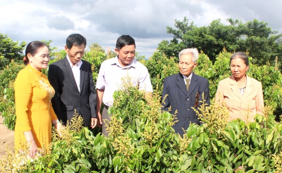 Thăm mô hình NCT làm kinh tế giỏi tỉnh Đắk Lắk