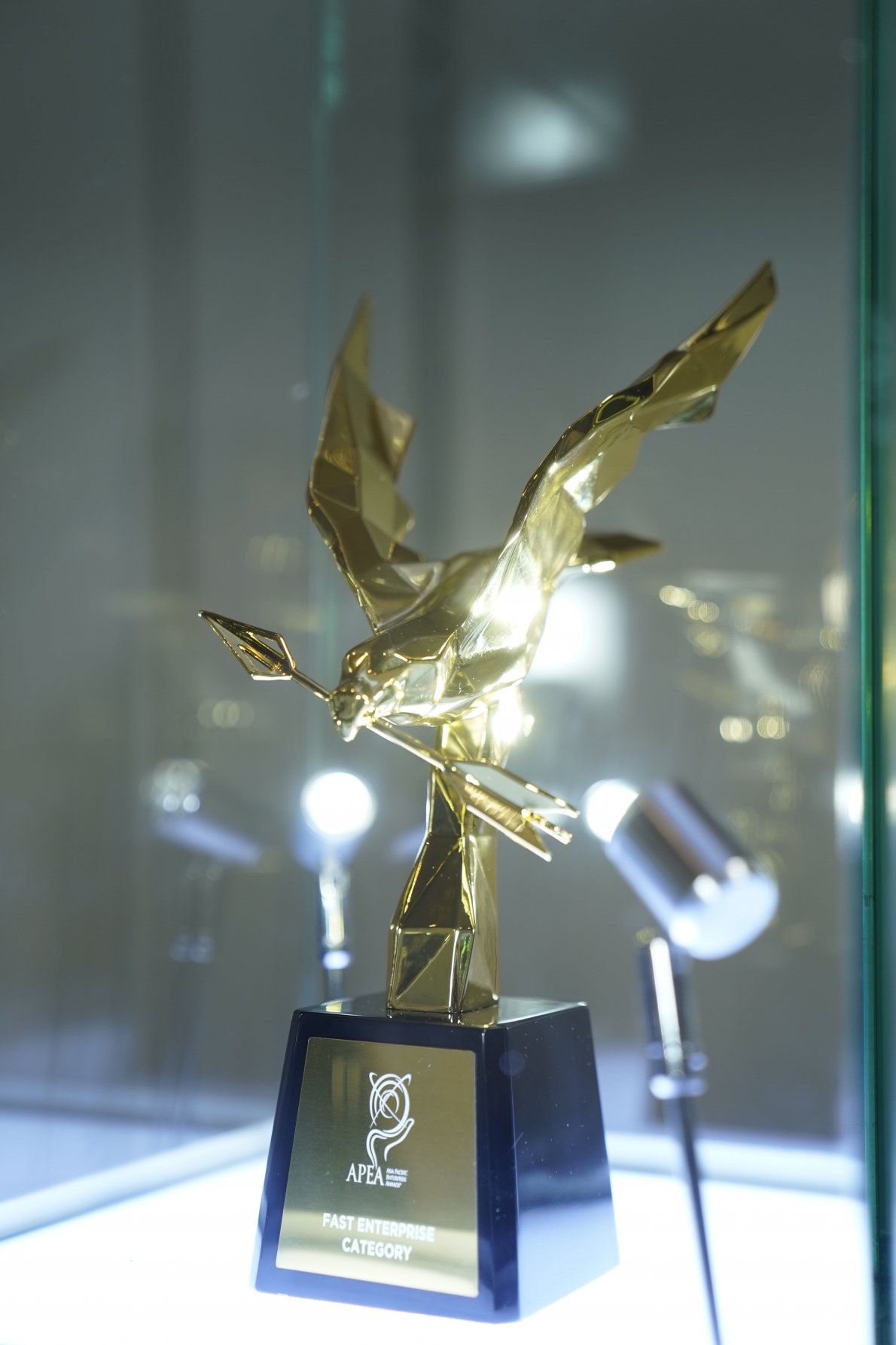 BSL được vinh danh là “Doanh nghiệp tăng trưởng nhanh” tại APEA 2023