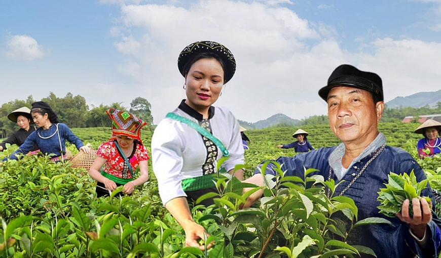 Lung Quý và phụ nữ bản Dọi thu hoạch chè