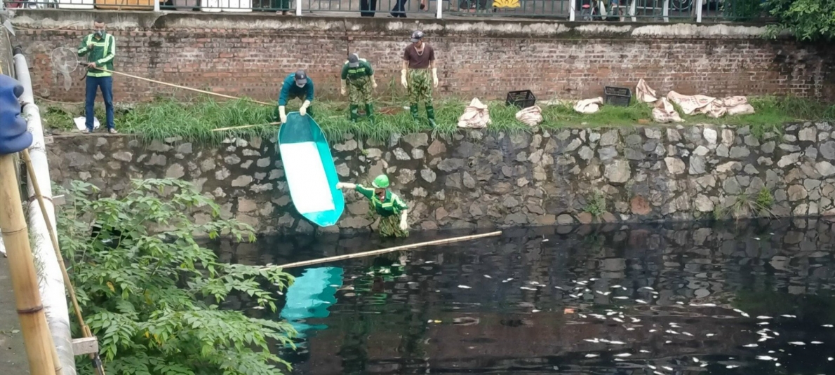 Hào thành cổ Vinh:  Cá chết nổi trắng, gây ô nhiễm môi trường