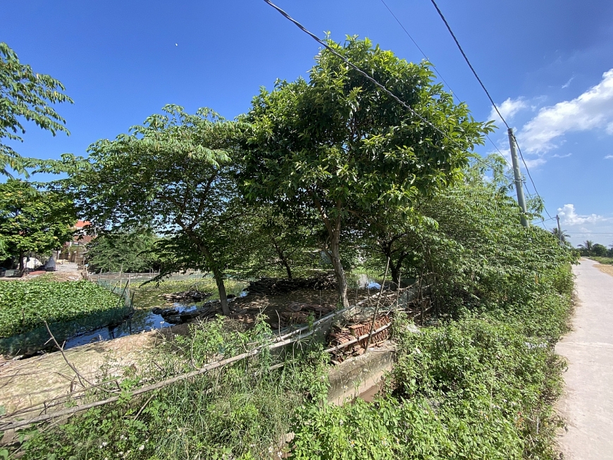 Khu ao mà gia đình cụ Đào Thị Lấm đề nghị giao 72m2 đất bị thiếu.