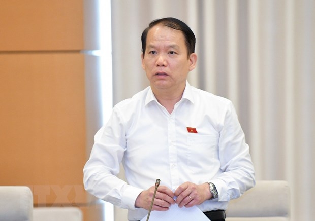 Chủ nhiệm Ủy ban Pháp luật của Quốc hội Hoàng Thanh Tùng phát biểu. (Ảnh: Doãn Tấn/TTXVN)