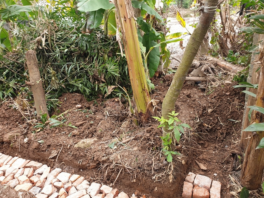 UBND huyện Trực Ninh có văn bản yêu cầu UBND xã Trung Đông xem xét, xử lí, giải quyết theo quy định