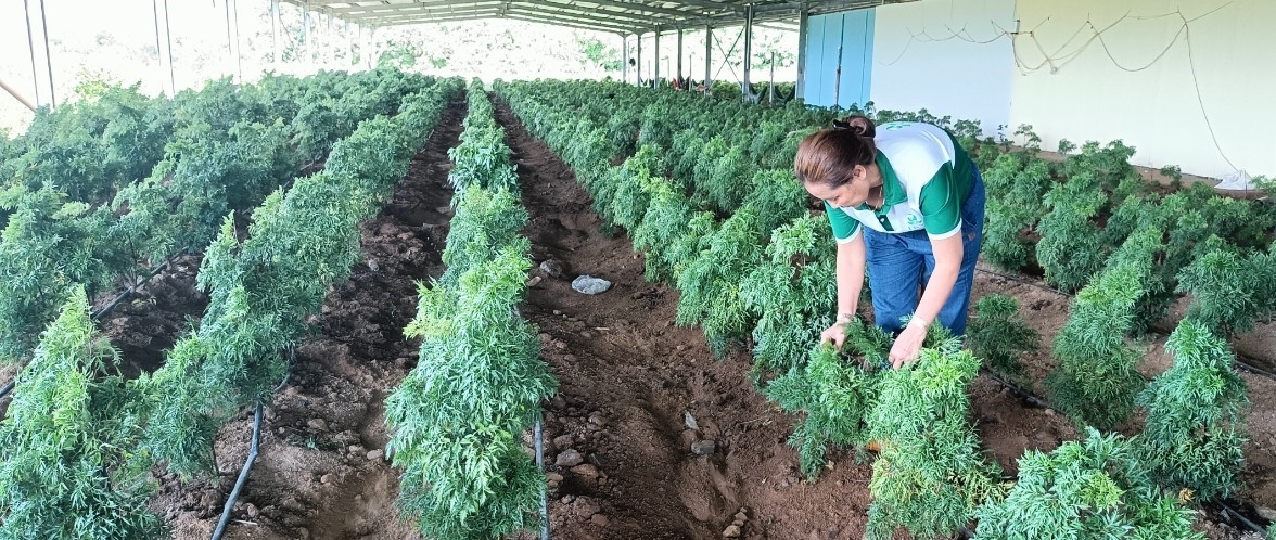 Phấn đấu đến năm 2025 đạt huyện nông thôn mới