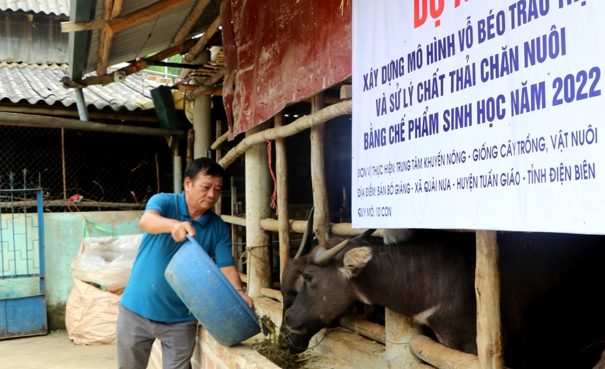 Mô hình NCT làm kinh tế giỏi tỉnh Điện Biên